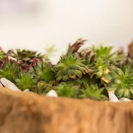 Acker Neuburg an Der Donau